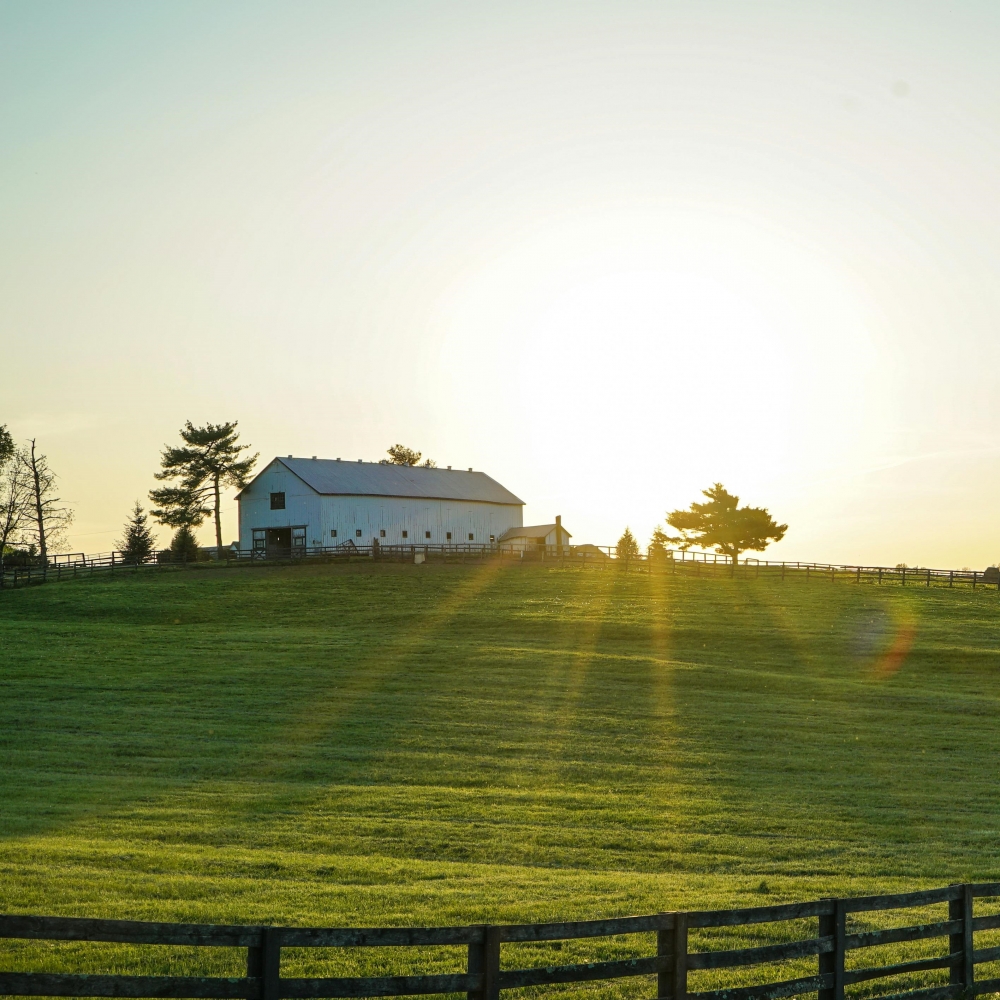 都市計畫發布實施前，原有依法實際供農作、養殖、畜牧生產且未停止其使用者，得比照農業區之有關規定及條件，申請建築農舍及農業產銷必要設