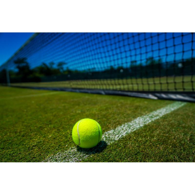 面積零點三公頃以下之