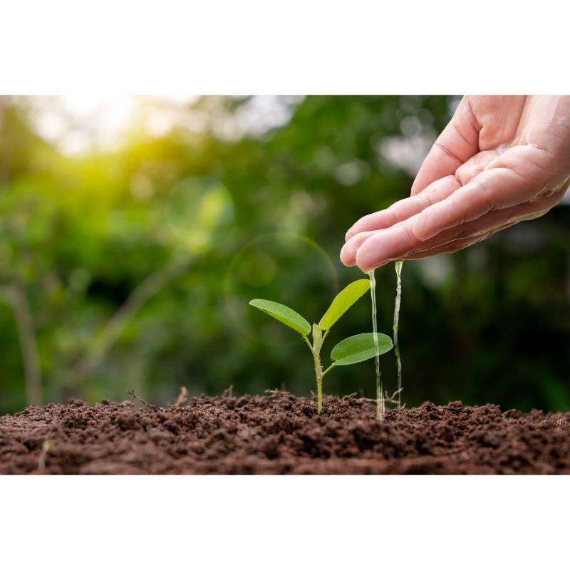 造林及水土保持設施